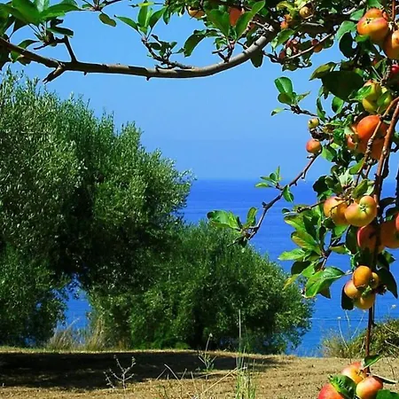 Alloggio per agriturismo La Formica Ascea
