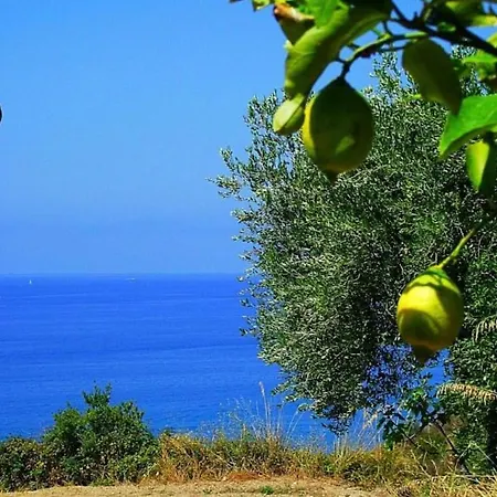 Alloggio per agriturismo La Formica Ascea