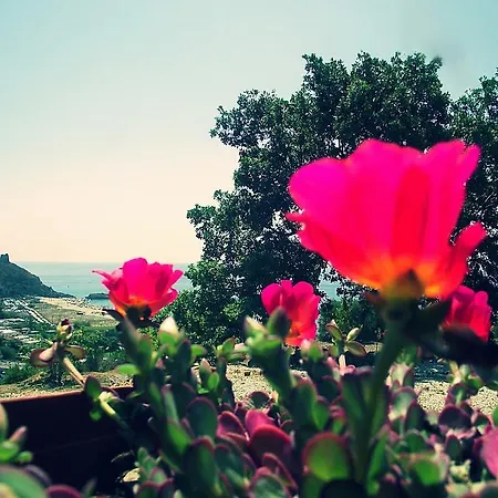 Alloggio per agriturismo La Formica Ascea
