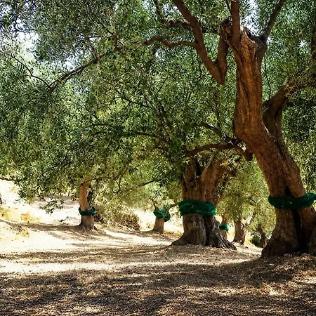La Formica Séjour à la ferme Ascea